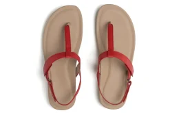 ABEO Oasis T Strap Metatarsal