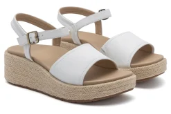 ABEO Solstice Buckle Sandal Metatarsal