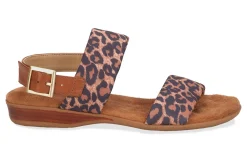 Ros Hommerson Cabana