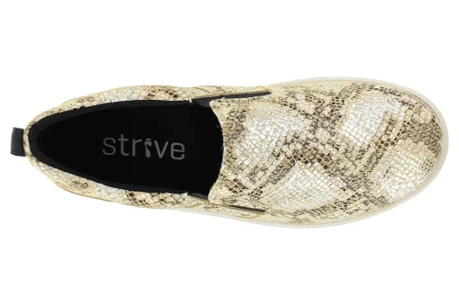 Strive Florida
