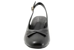 Trotters Dalani