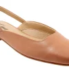 Trotters Holly