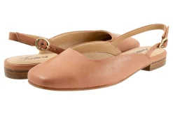 Trotters Holly