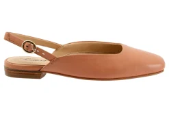 Trotters Holly