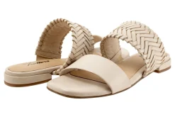 Trotters Nalane