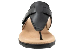 Trotters Robin